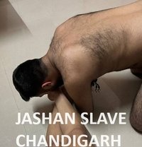 Slave Looking for Domme Mistress - Male escort in Chandigarh
