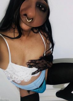 Slave Sissy Guy for girls & Lesbo - Male escort in Colombo Photo 7 of 7