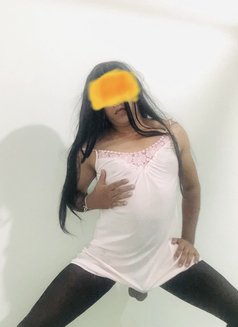 Slave Sissy Guy for girls & Lesbo - Male escort in Colombo Photo 10 of 10