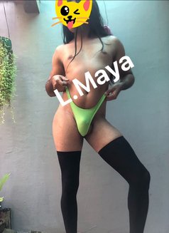 Slave Sissy Guy for girls & Lesbo - Acompañantes masculino in Colombo Photo 12 of 12