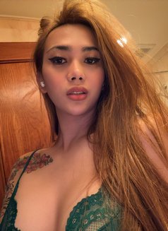 BDSM/TransGFE/SOLOtraveller - Transsexual escort in Hong Kong Photo 8 of 15