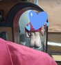 Slavee - Male escort in New Delhi Photo 1 of 1