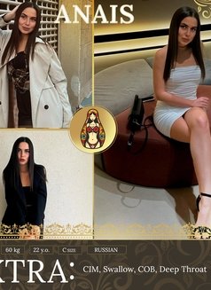 Slavic Dolls - escort agency in Dubai Photo 17 of 28