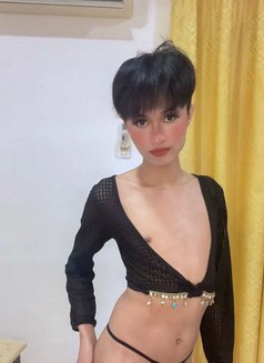 Slim Ladyboy Salalah - Transsexual escort in Şalālah Photo 4 of 6
