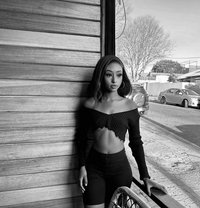 Slim Queen - escort in Doha
