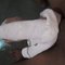 Slim Virgin Fucker - Male escort in Indore