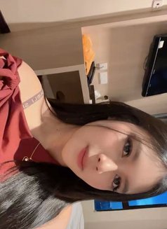 Slim Young Girl With Amazing Service - puta in Medan Photo 8 of 8