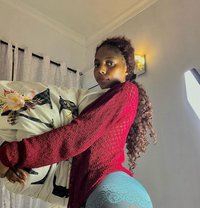 Sliz - escort in Tabuk