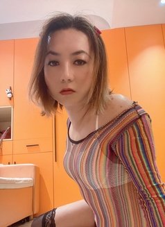 Sweet Hot Ts Jeany in Shanghai - Transsexual escort in Shanghai Photo 7 of 15