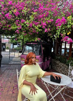 Sluttyvanny - Acompañantes transexual in Lagos, Nigeria Photo 2 of 2