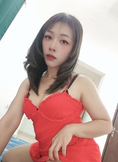 Sofia Full Service - escort in Muscat Photo 18 of 20