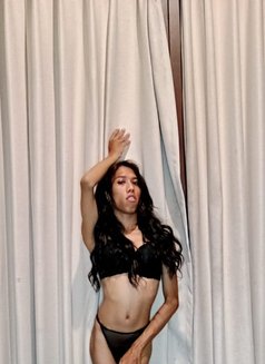 Small Lady - Transsexual escort in Bali Photo 4 of 10