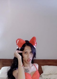 Small Lady - Transsexual escort in Bali Photo 10 of 10