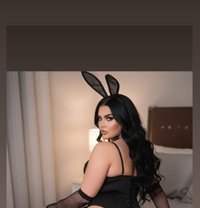 Smara - Acompañantes transexual in Beirut