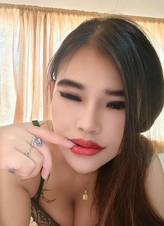 Smile girl 🇹🇭 New in Phuket♡BJ,Rim,CIM - escort in Phuket Photo 12 of 24