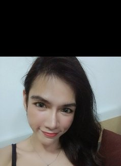 Smile Lady Boys - Acompañantes transexual in Bangkok Photo 1 of 4