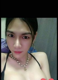 Smile Lady Boys - Acompañantes transexual in Bangkok Photo 3 of 4