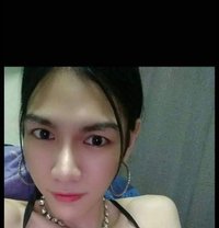 Smile Lady Boys - Transsexual escort in Bangkok