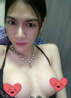 Smile Lady Boys - Transsexual escort in Bangkok Photo 8 of 9