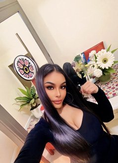 Smile _SEXY _VIP_ - Transsexual escort in Abu Dhabi Photo 30 of 30