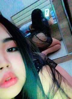 Sara 🇹🇭 - escort in Al Sohar Photo 17 of 22