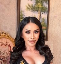 Smile Thailand 🇹🇭 New in Dubai 🇦🇪 - Transsexual escort in Dubai
