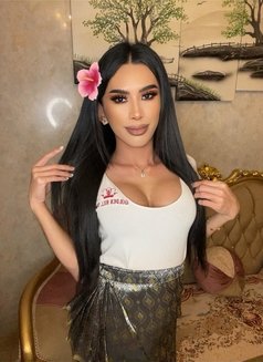 Smile Thailand 🇹🇭 New in Dubai 🇦🇪 - Transsexual escort in Dubai Photo 1 of 11