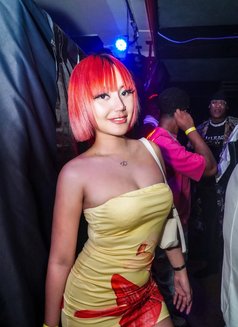 Smile XX (leave SATURDAY ) - escort in Okinawa Island Photo 7 of 8