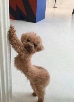 Smile XX - escort in Okinawa Island Photo 7 of 7