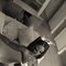 Smoothie Queen Ecstatics - escort in Dubai Photo 1 of 8