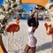 Smoothie Queen,Squirts,Nice Head Game - escort in Dubai Photo 1 of 14