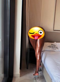 Smoothie Queen,Squirts,Nice Head Game - escort in Dubai Photo 4 of 12