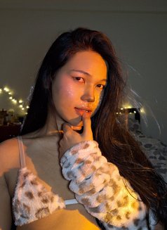 Smsoov - Transsexual escort in Bangkok Photo 3 of 6