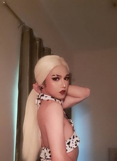 Snow - Acompañantes transexual in Dubai Photo 4 of 5