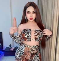 Snow ladyboy( both ) 🧚‍♀️ Thailand 🇹🇭 - Transsexual escort in Riyadh