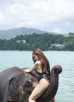 SNOW thai girl PHUKET - escort in Phuket Photo 10 of 21