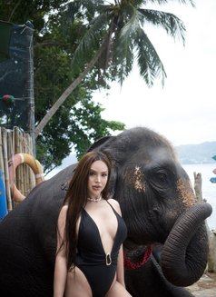 SNOW thai girl PHUKET - escort in Phuket Photo 6 of 21