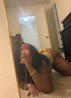 Snowbuuny Im Available Now Baby - escort in Abuja Photo 3 of 5