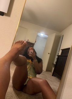 Snowbuuny Im Available Now Baby - escort in Abuja Photo 4 of 5