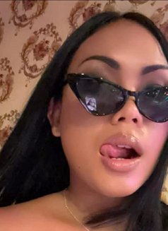 So Fa - Transsexual escort in Ko Samui Photo 3 of 3