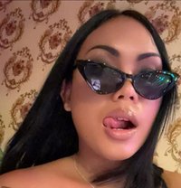 So Fa - Acompañantes transexual in Ko Samui