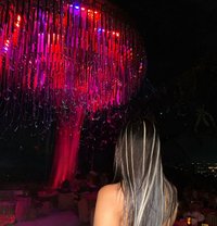 So Sophia🇹🇭 - escort in Ko Samui