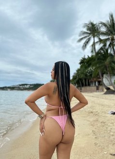 So Sophia🇹🇭 - escort in Ko Samui Photo 2 of 7