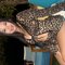 🏝️Sophia🇹🇭🇹🇭 - escort in Ko Samui Photo 4 of 7