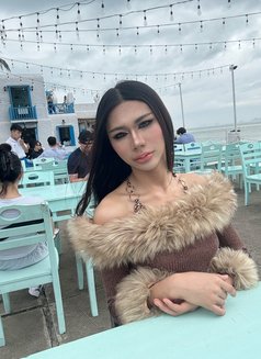 Soda🇹🇭 Good service - Transsexual escort in Khobar Photo 12 of 13