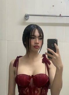 🇹🇭Soda Ladyboy Salalah - Transsexual escort in Şalālah Photo 3 of 6