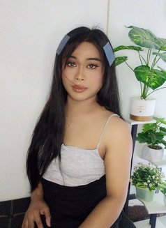 Soda Ladyboy - Transsexual escort in Bangkok Photo 1 of 8