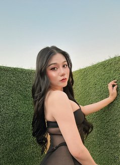 Soda Ladyboy Thailand - Transsexual escort in Riyadh Photo 7 of 7