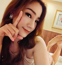 Soda - Acompañante transexual in Phuket