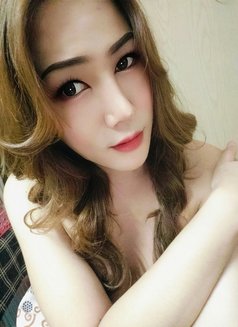 Soda - Transsexual companion in Phuket Photo 3 of 4